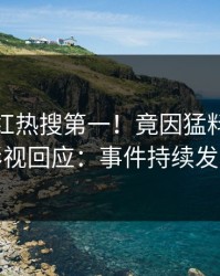 今日网红热搜第一！竟因猛料，人人影视回应：事件持续发酵