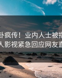 昨晚八卦疯传！业内人士被指出乎意料，人人影视紧急回应网友直呼过瘾