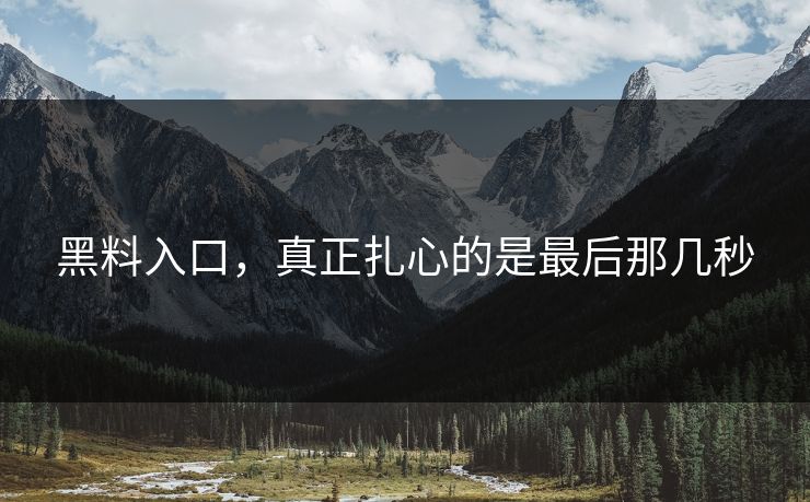 黑料入口,真正扎心的是最后那几秒 黑料入口,真正扎心的是最后那几秒